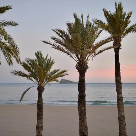 Sunset Cliffs Lejlighed Benidorm